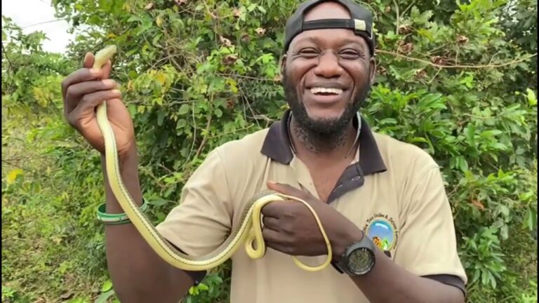 Snake Tours & Other Forms of Adventure Tourism